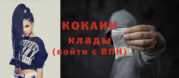 дурь Ельня