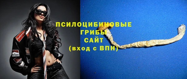 меф Елизово