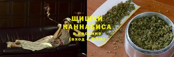 дурь Ельня
