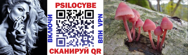 Купить  Заречный  Галлюциногенные грибы Psilocybe 