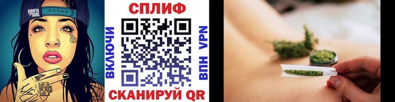 Купить закладки  Заречный  Бошки Шишки тримм 
